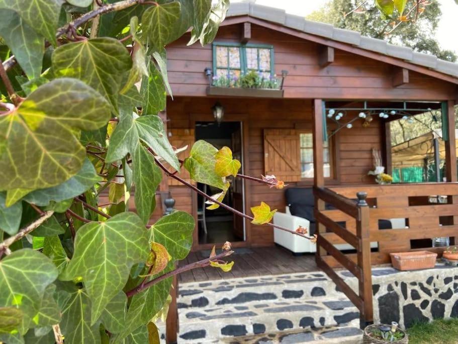 Desconexion Y Paz, Cabana En La Sierra Albalate De Zorita Dış mekan fotoğraf