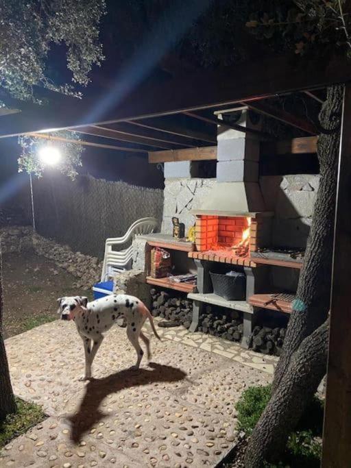 Desconexion Y Paz, Cabana En La Sierra Albalate De Zorita Dış mekan fotoğraf