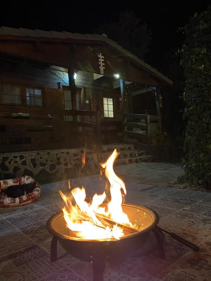 Desconexion Y Paz, Cabana En La Sierra Albalate De Zorita Dış mekan fotoğraf